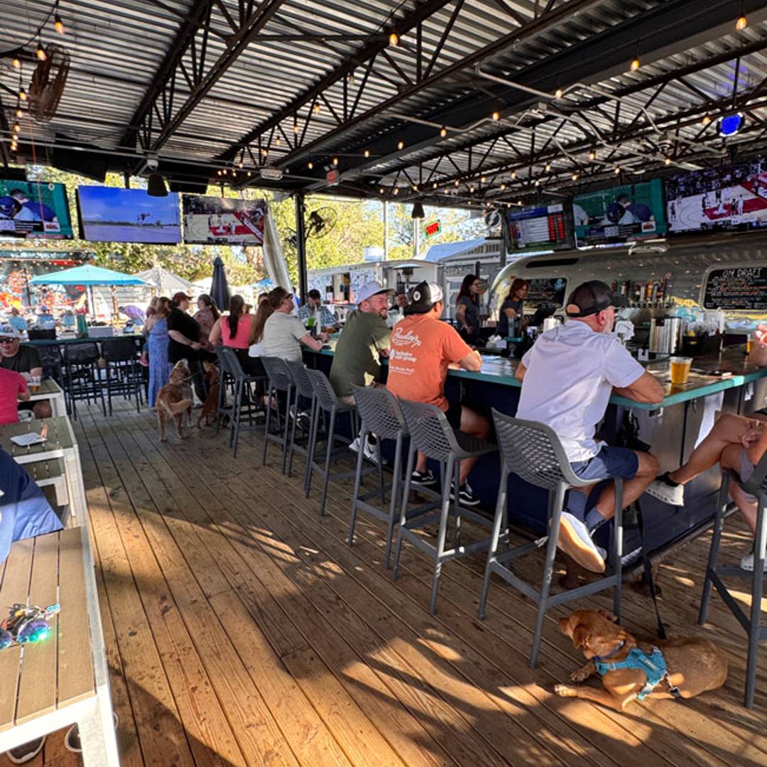 dog friendly bar restaurant the rollin mullet tampa fl