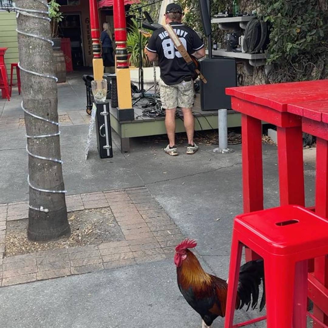 Gaspar's Grotto Dog-Friendly Restaurant