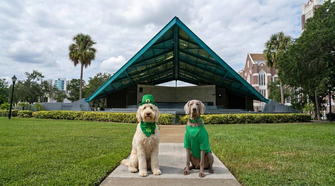 Jet Set Pets Tampa Bay Wet Noseletter March 4, 2026