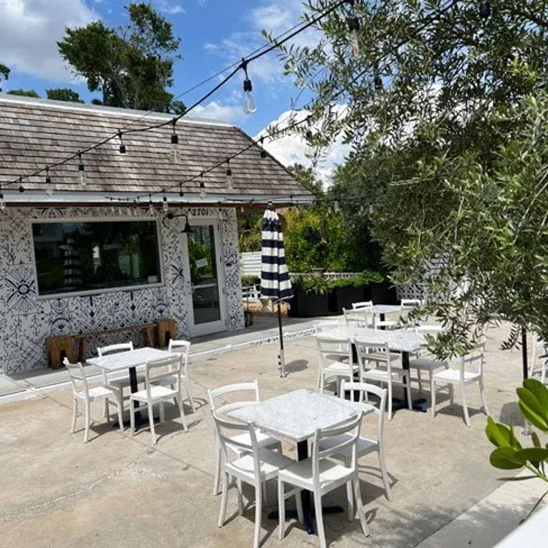 baba restaurant dog friendly st petersburg fl bar