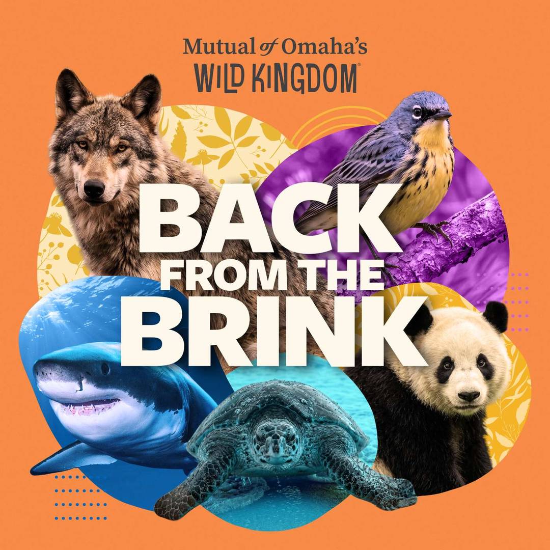 Back from the Brink
