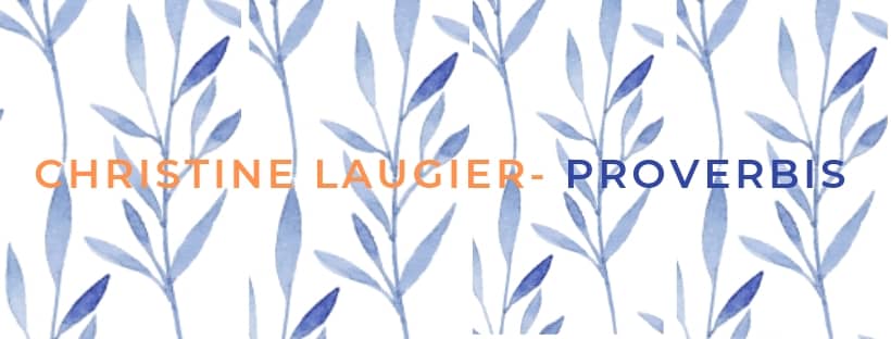 bannière avec mention Christine Laugier sur fond végétal bleu