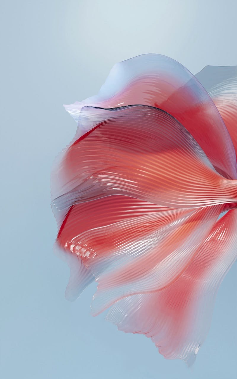 A red and white fish floating on top of a body of water