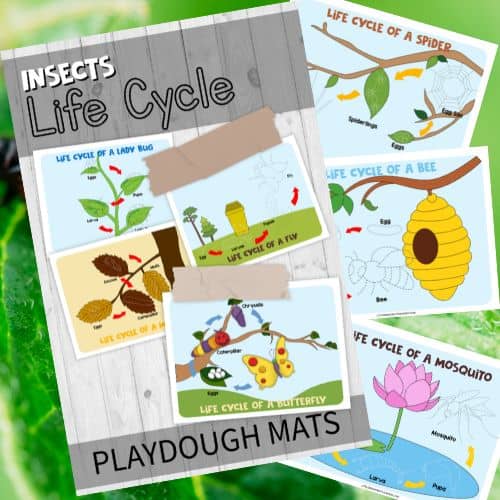 Bug Playdough Mats - Little Bins for Little Hands