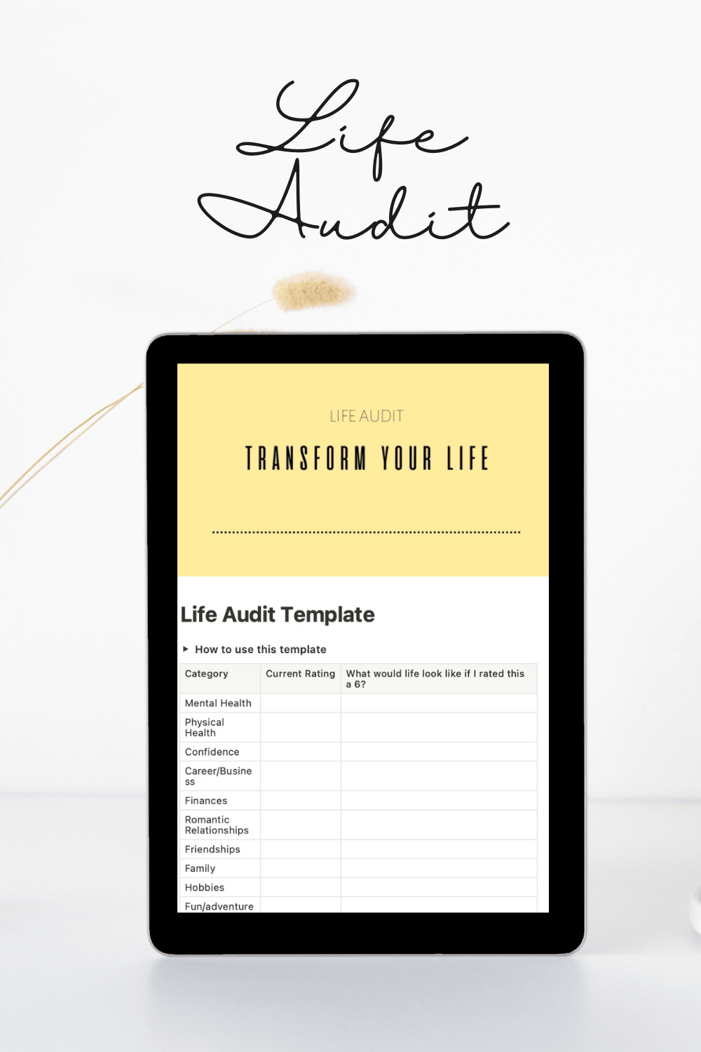 Life Audit Template