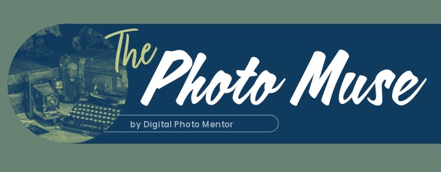 The Photo Muse Photography Tips Newsletter