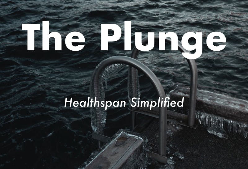 The Plunge - Healthspan Simplified