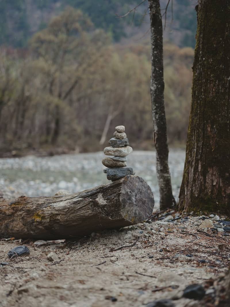 Stacked stones resting on a log near trees