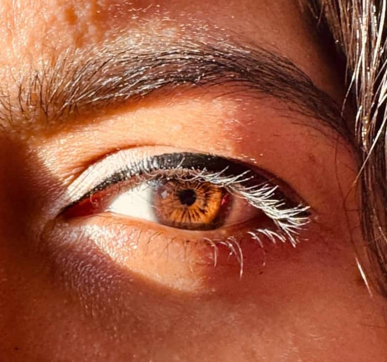 Close up of a brown eye with sunlight.