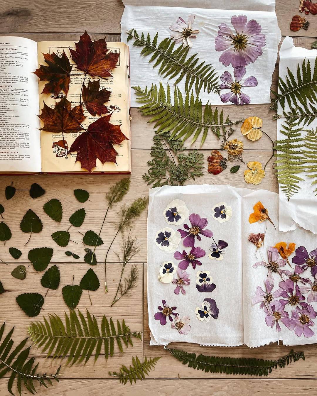 Sunny's pressed flower art