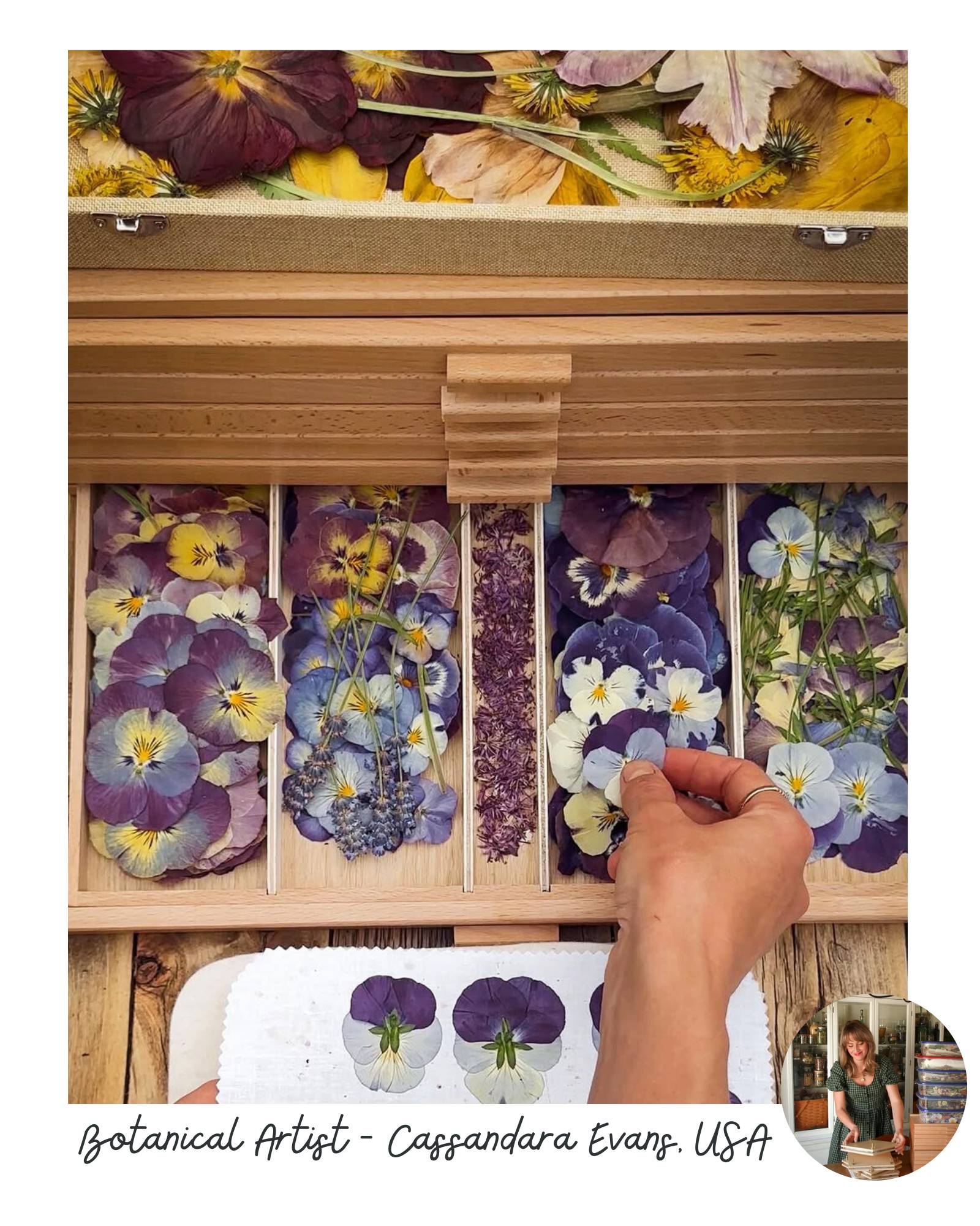 Sunny's pressed flower art and slow living crafts