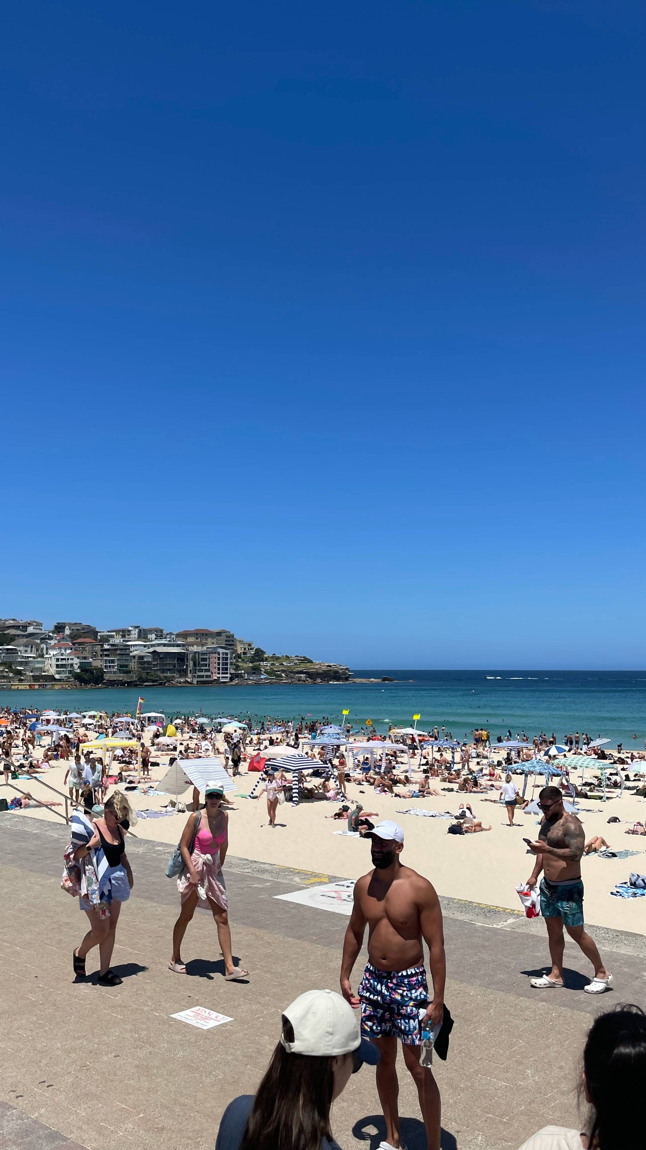 a horrible picture of bondi beach