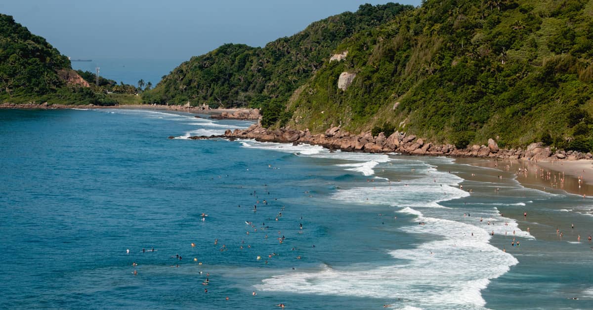 Wide angle photo of surfers in blue water with a beach and tree-covered clif just beyond the beach