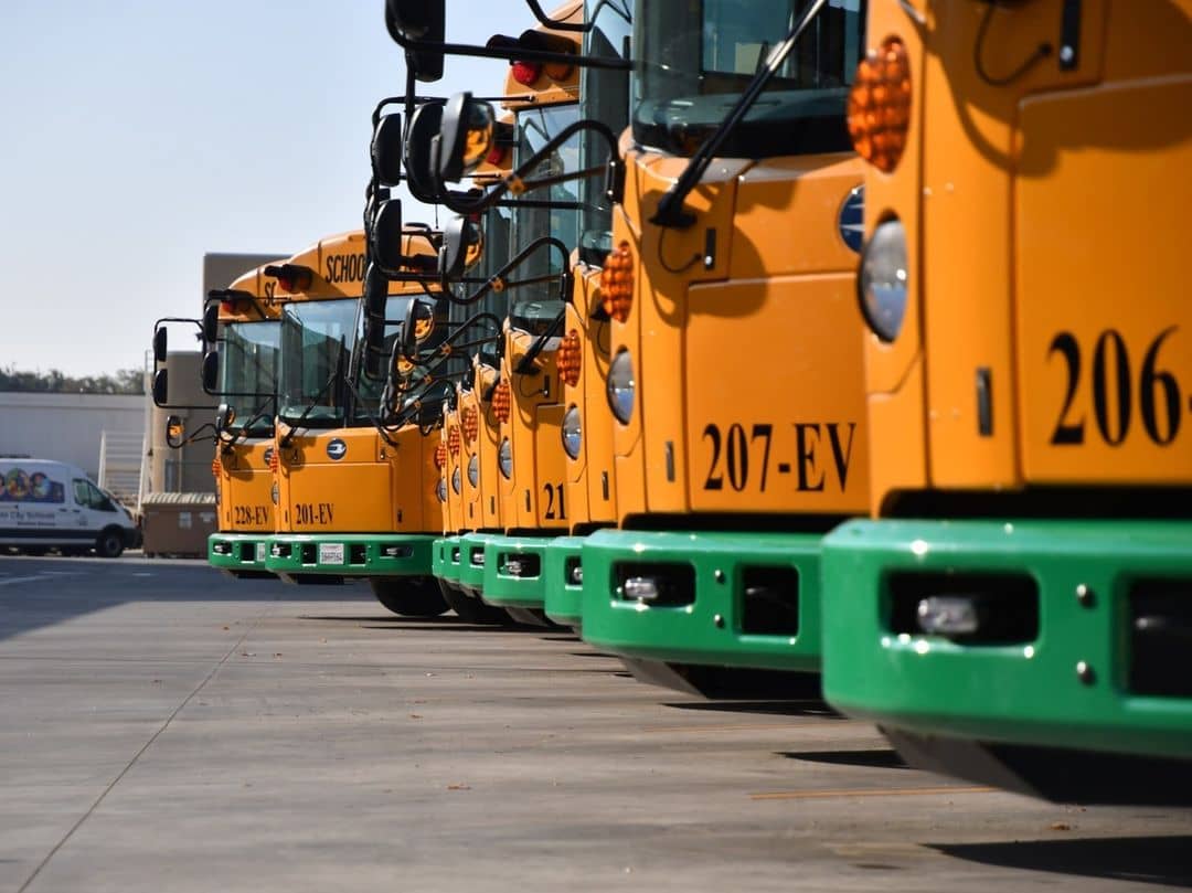 Yellow school buses with green front bumpers lined up in a parking lot