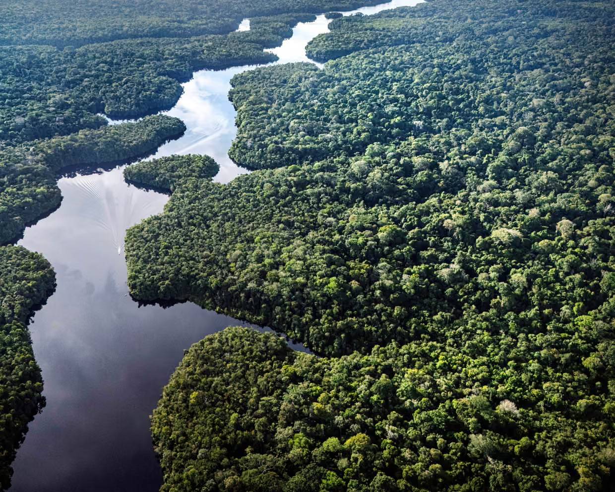Birds eye view of a densely forested are with a river running through it