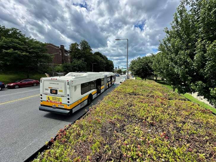 A city bus driving past a bus stop that has plants on its roof