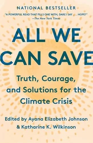Book cover for All We Can Save
