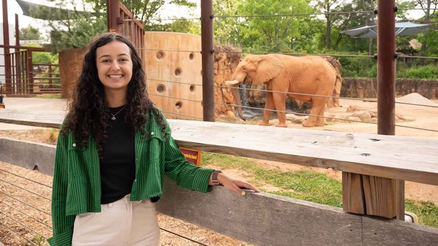 A woman in a green shirt smiling and standing outside an elephant enclosure, there's one elephant in the background