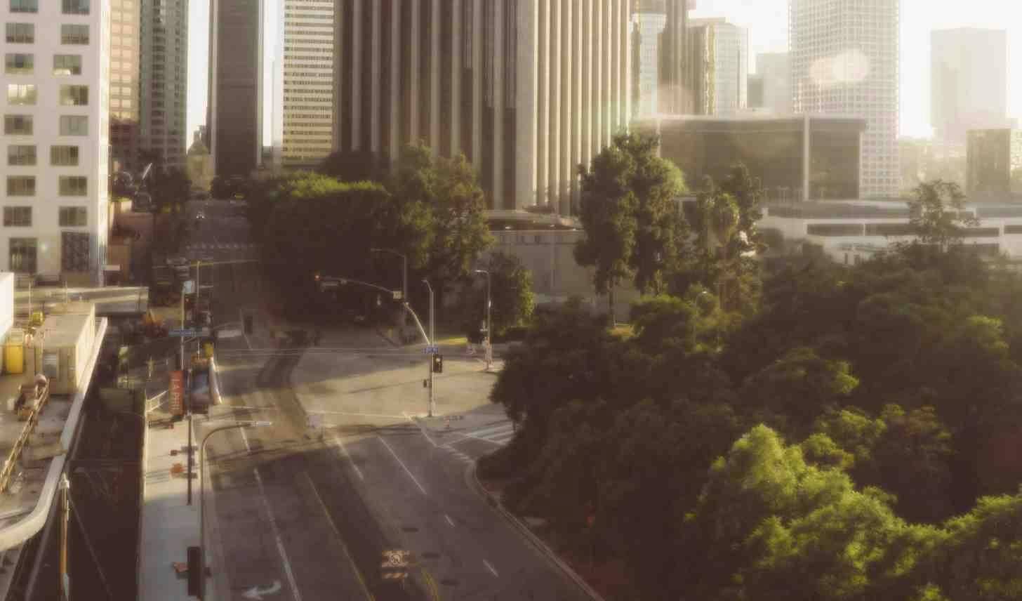Overhead photo of a tree-lined street in Los Angeles 