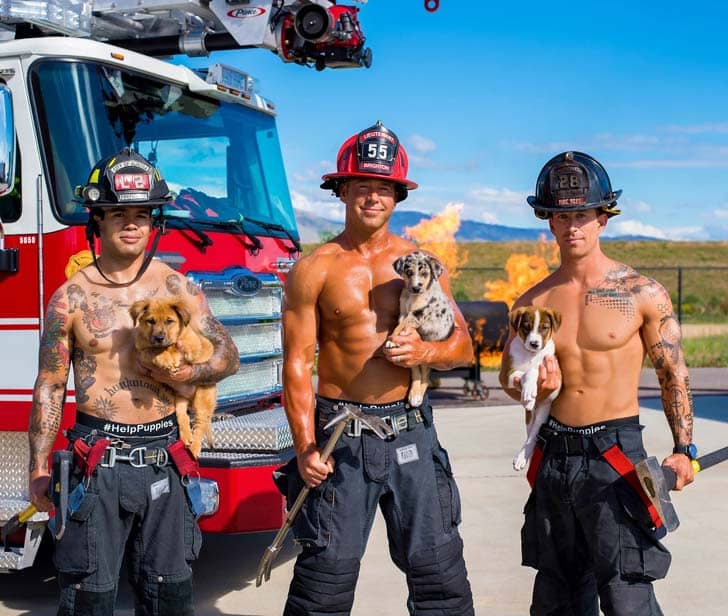 Three firefighters with their shirts off holding small puppies with a fire truck and contained fire in the background