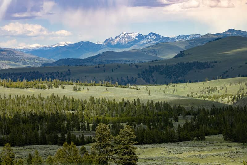 Scenic photo of a field in Yellowstone, mountains are in the background