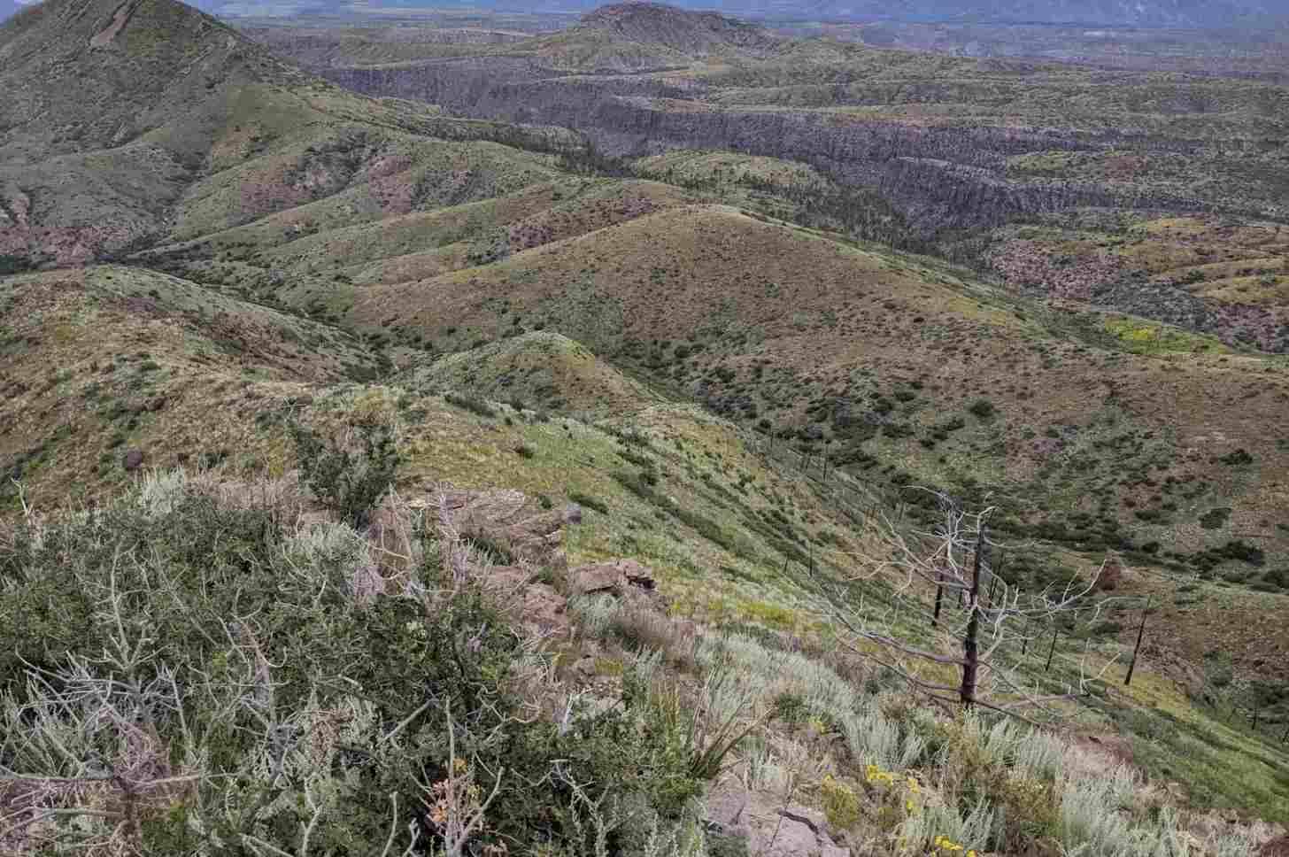 Wide angle photo of a hilly, mountainous area covered by green and brown patches