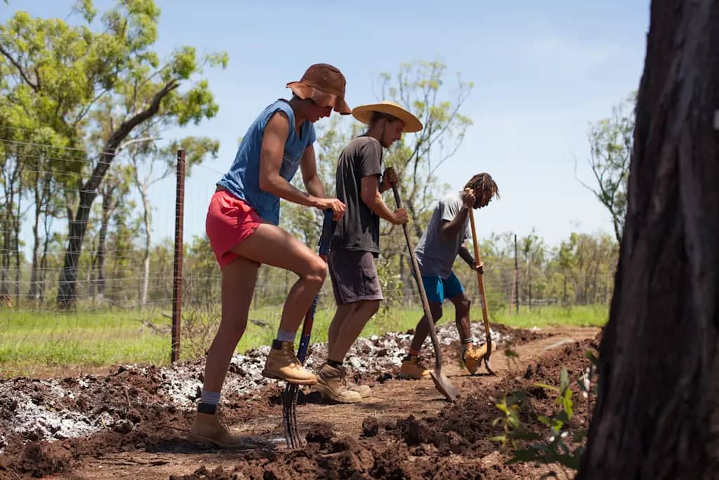Three people with rakes and shovels digging into the dirt