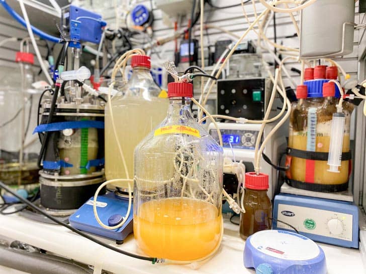 Two large jugs with red tops and tubes coming out fo them filled with a yellow-ish and orange-ish liquid surrounded by other jars and scientific experimental devices