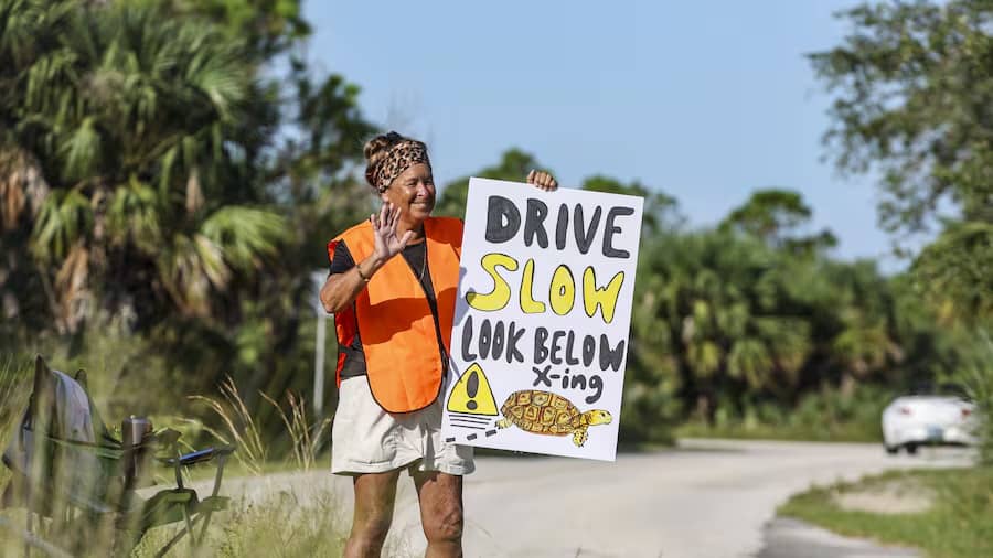 woman in orange vest holding a poster board that says "drive slow, look below, x-ing" with a picture of a turtle