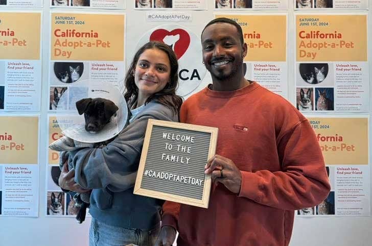 Two people holding a small dog wearing a plastic cone and a letterboard sign that says "Welcome to the family #CAAdoptAPetDay"