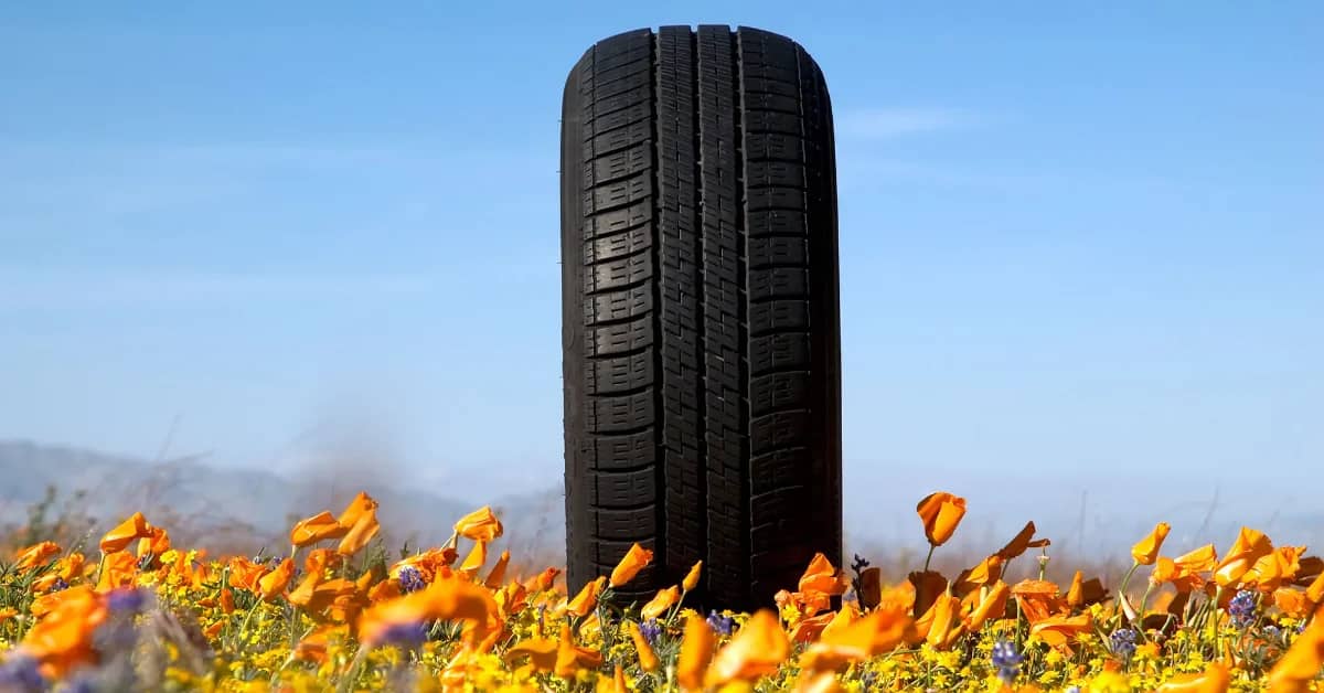 A large black tire stands upright in a field of yellow and purple wildflowers under a clear blue sky.