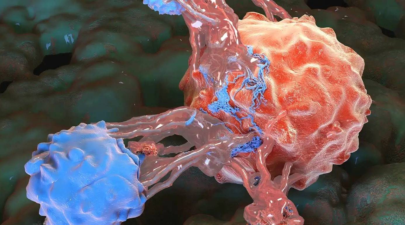A blue and red microscopic rendering of a cell