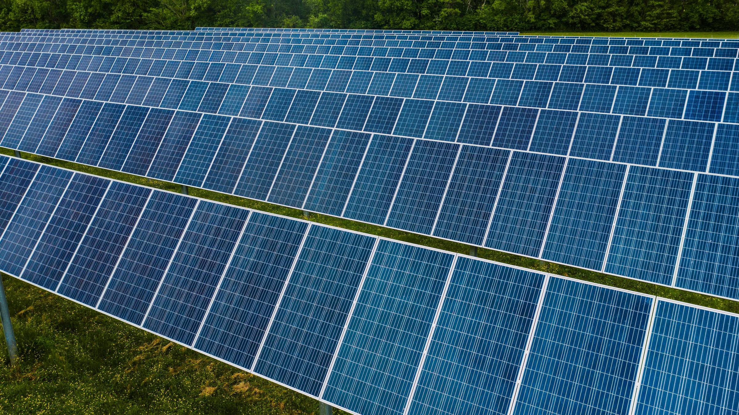 Rows of solar panels on a grassy land