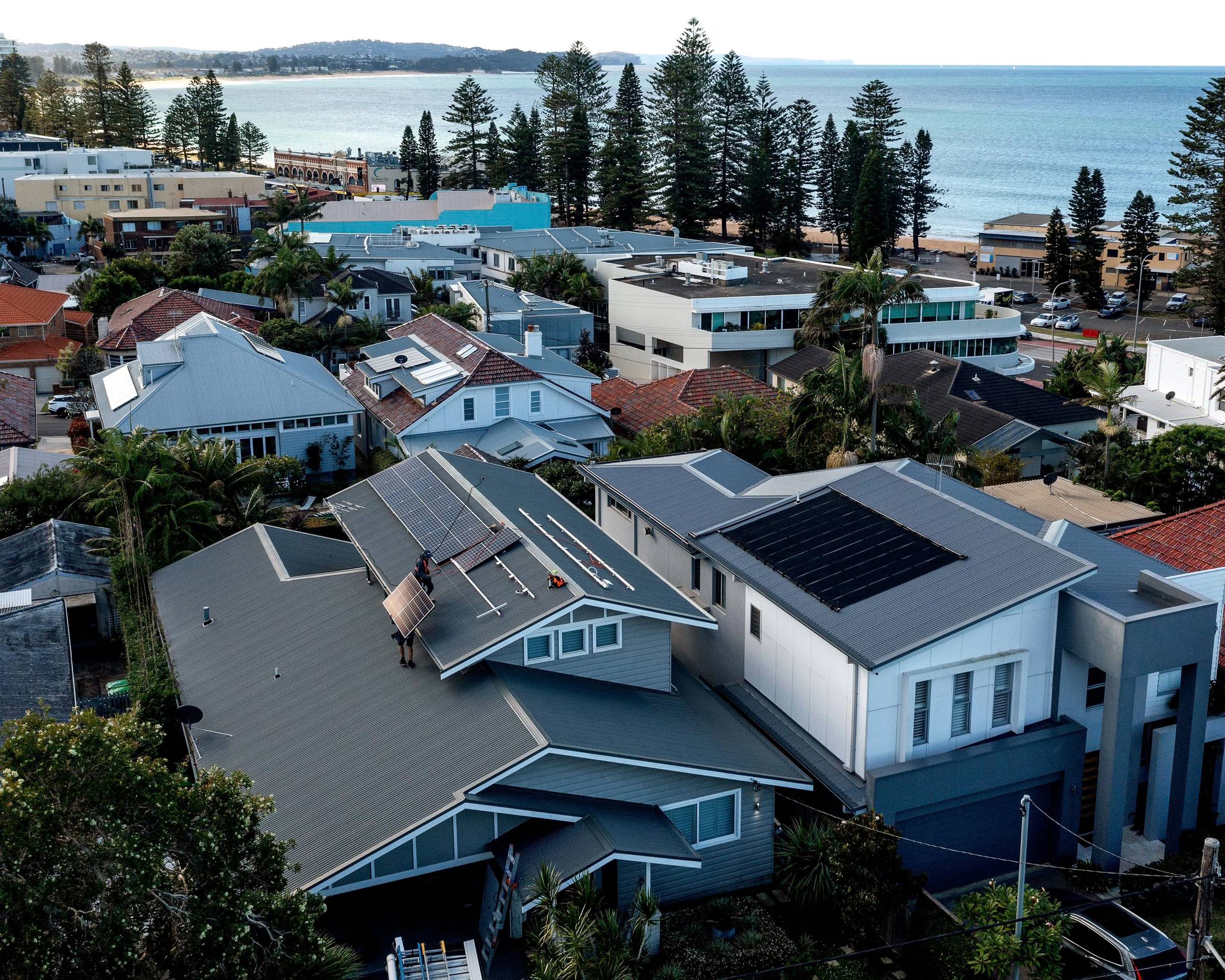 Aerial view of a coastal suburb with modern houses featuring solar panels on roofs, tall pine trees, and turquoise ocean water visible in the background.