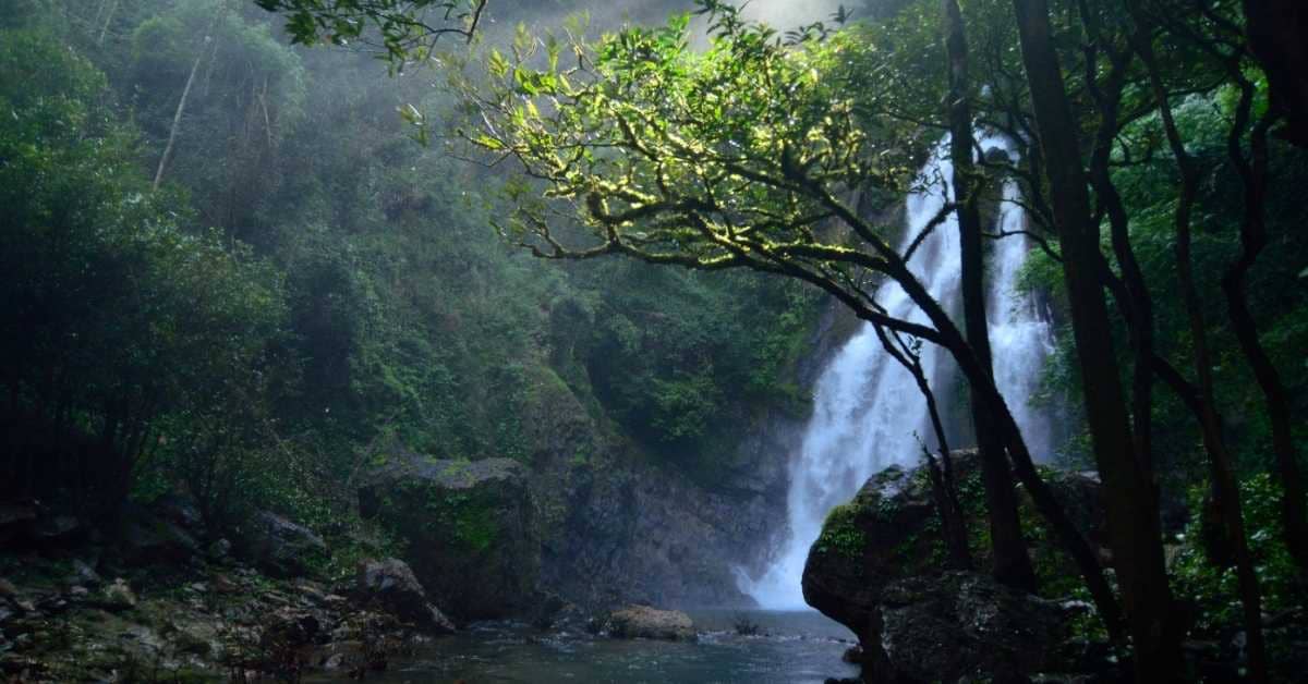 A waterfall in a forested area with sun peeking through