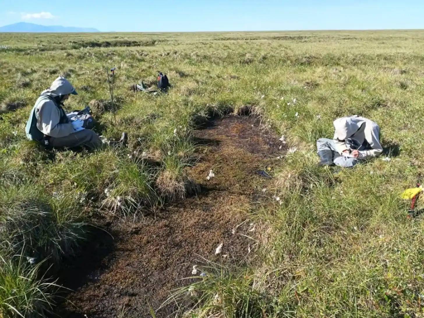 Researchers examine soil samples in an open grassland with sagebrush vegetation, with a snow-capped mountain visible in the distance.