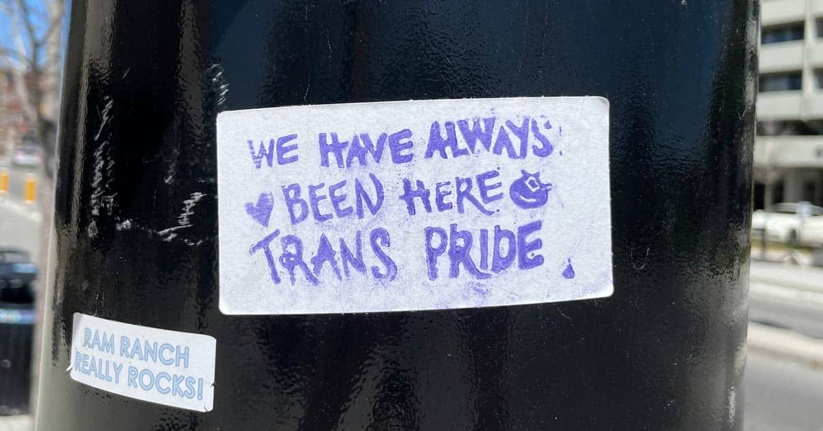 Sticker on a black pole that says "We have always been here. Trans pride"