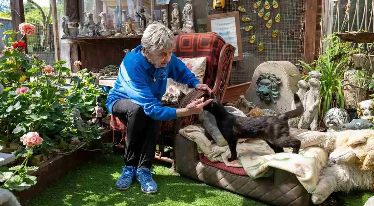 Barby Keel sitting and petting a black cat