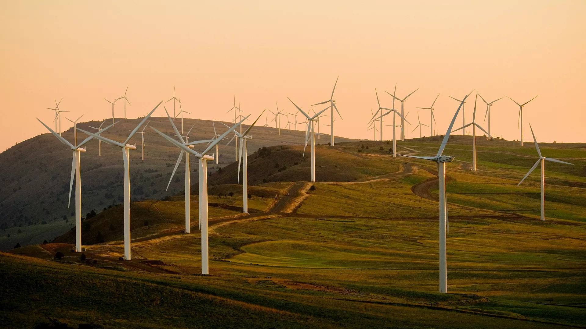 A hillside filled with white wind turbines at sunrise