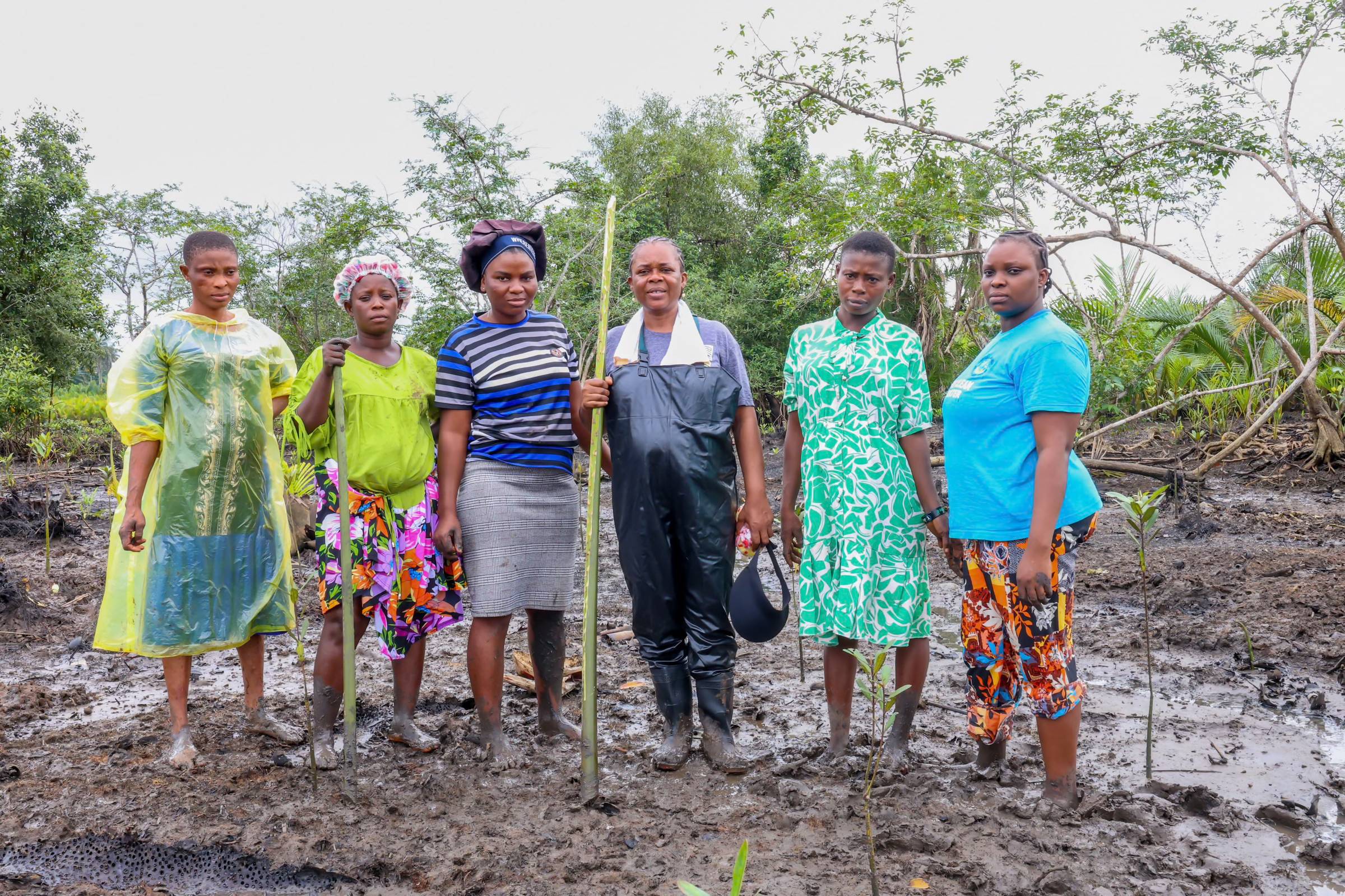 Six women stand in muddy ground holding wooden poles, with mangrove trees and vegetation visible in the background.