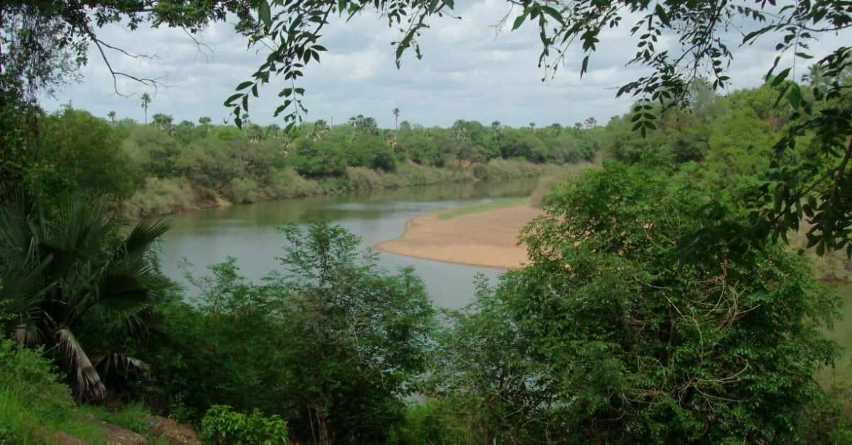 Green forest, beach, and a body of water in a national park in Senegal