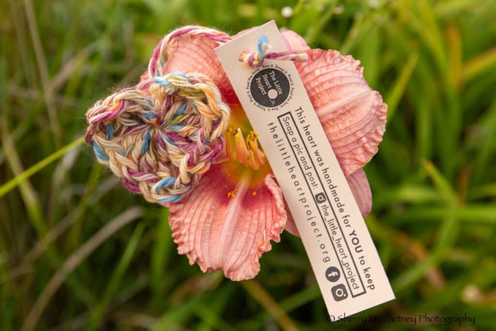 A small crochet heart on a pink flower