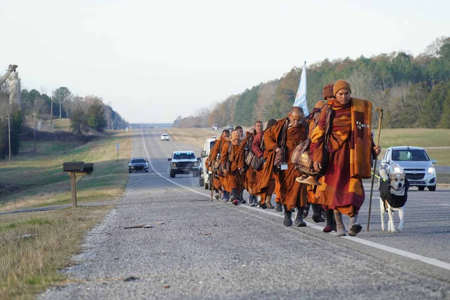 A line of people walking along the side of a highway, a dog walks next to them on a leash