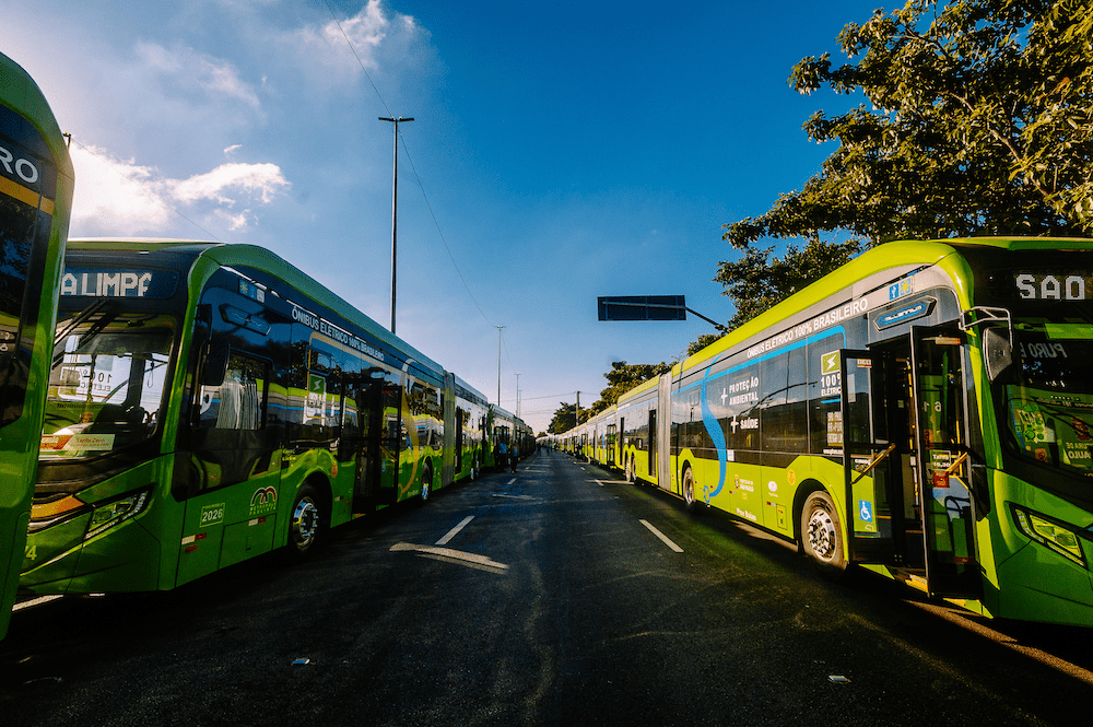 Rows of green buses lined up on either side of a road beneath a clear blue sky with white clouds, trees visible on the right side.