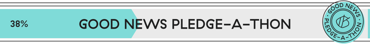38% progress pledge drive