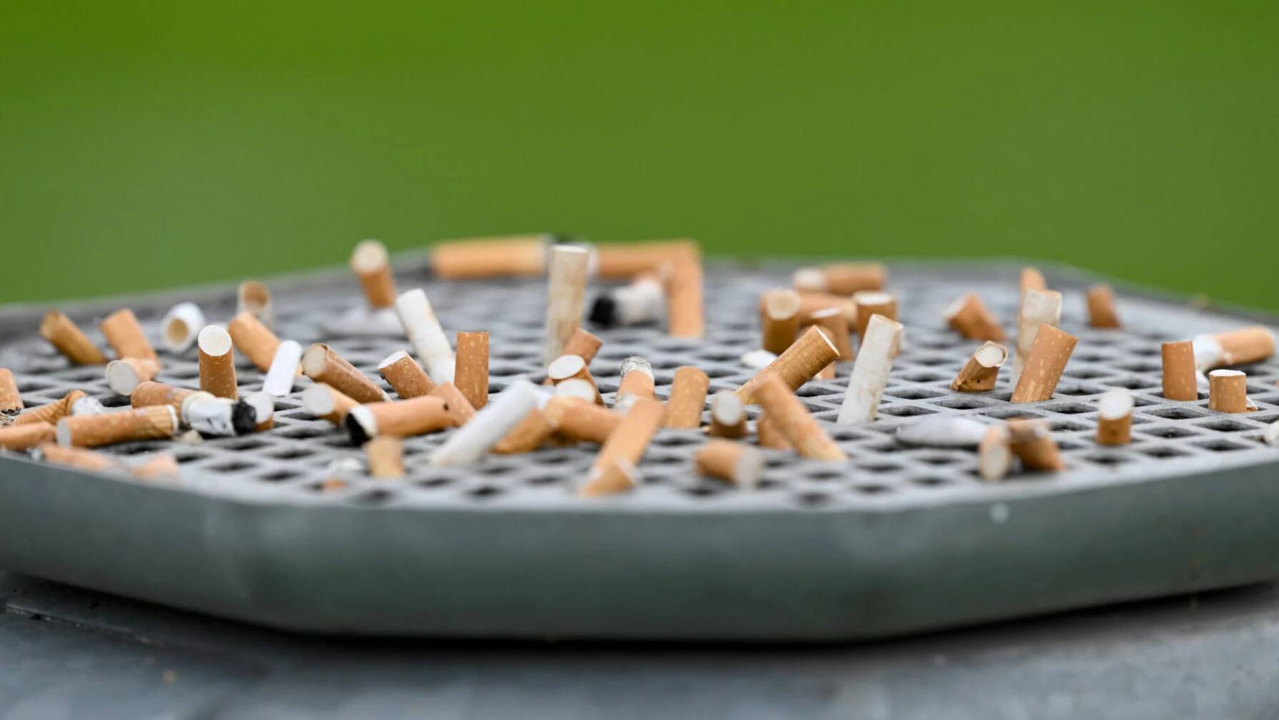 Used cigarette butts in an ashtray