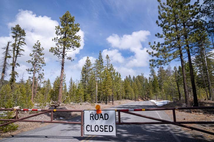 A barricade and road closed sign over a street surrounded by trees