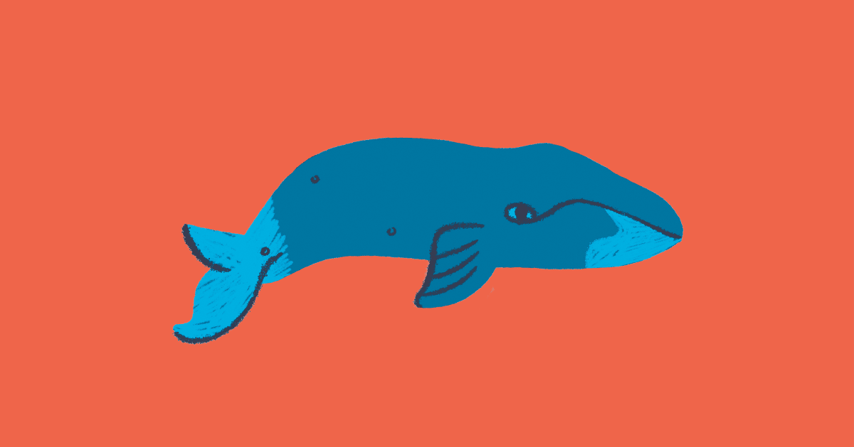 An illustration of a blue humpback whale on a red background