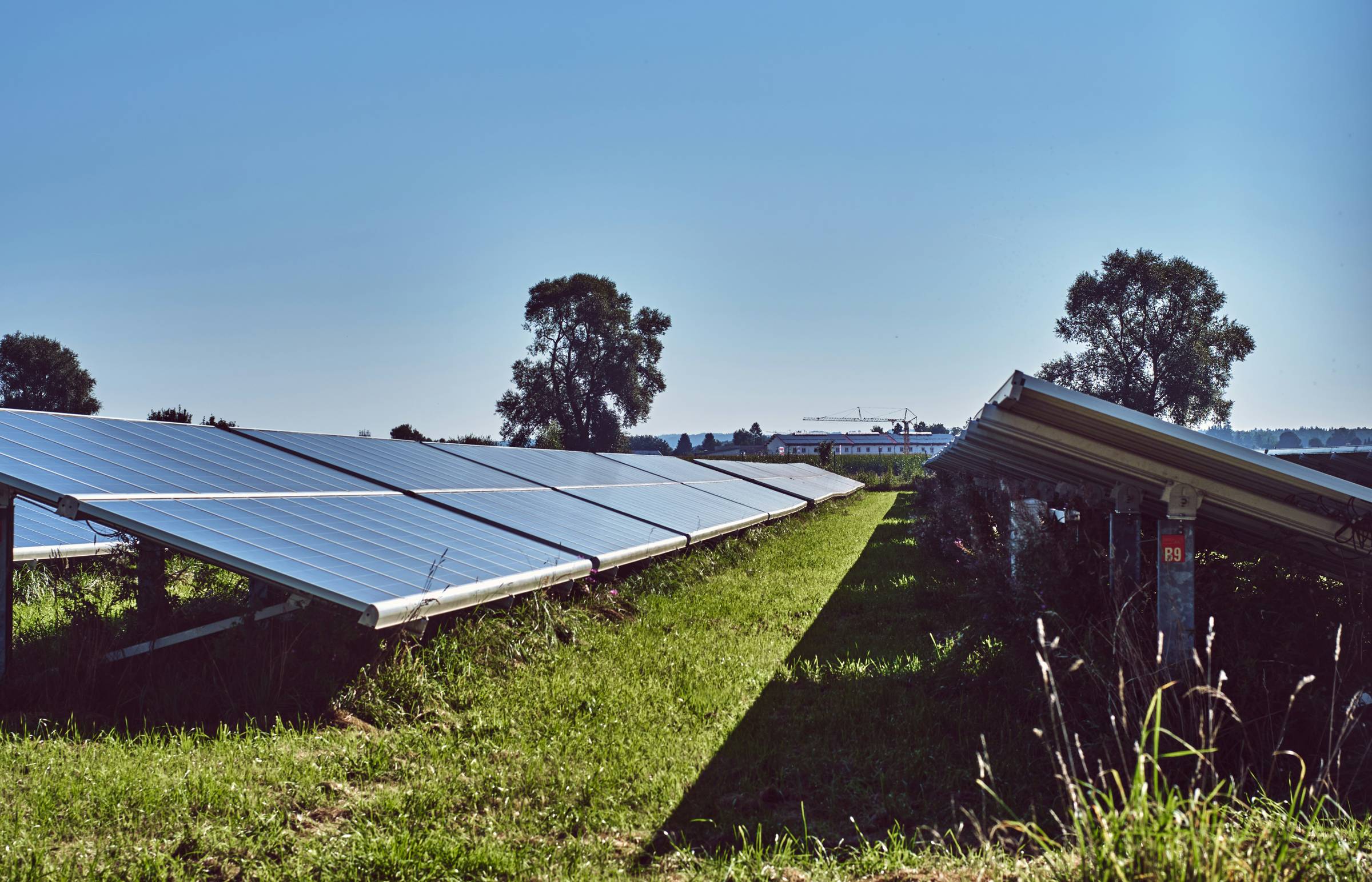 Three rows of solar panels in a grassy field