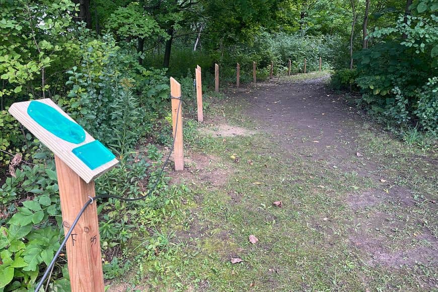 A wooden sign with a turquoise blue roof-shaped top stands on a dirt path lined with dense green forest vegetation and wooden posts.